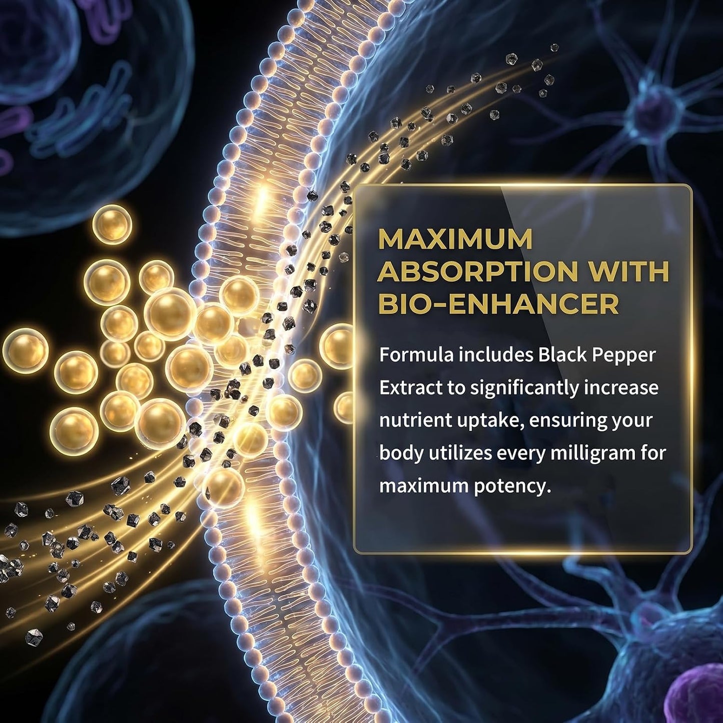 Volera NMN Bone Complex